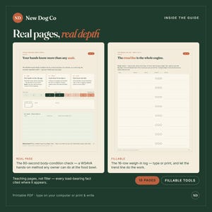 K&ouml;nnte beinhalten: Ein digitaler Leitfaden von New Dog Co mit zwei Seiten: einem 60-Sekunden-K&ouml;rperzustands-Check mit Bewertungsskala und einem 16-zeiligen Wiegeprotokoll. Das Layout enth&auml;lt erkl&auml;renden Text, ausf&uuml;llbare Felder und einen dunkelgr&uuml;nen Hintergrund.
