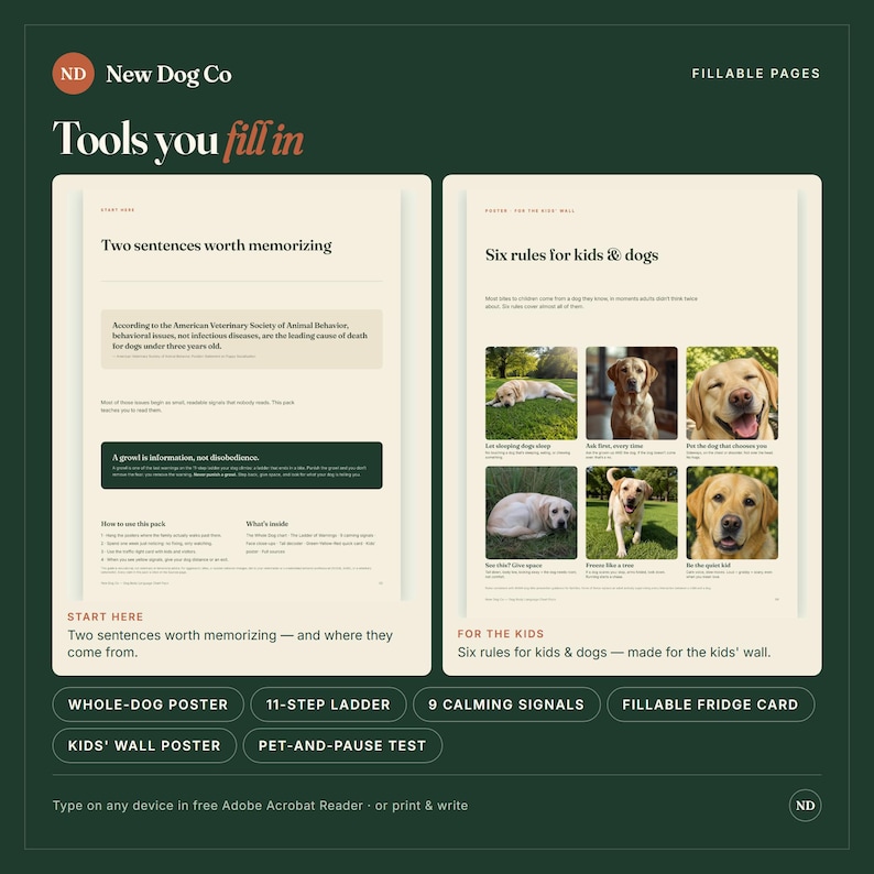 May include: Two digital pages from New Dog Co titled Tools you fill in. The left page features text about dog behavior and memorization. The right page displays Six rules for kids & dogs with six photographs of a golden retriever in various poses.