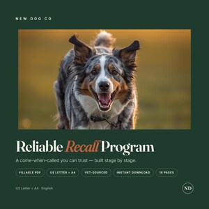 Peut inclure: Un document numérique intitulé Reliable Recall Program par New Dog Co avec une photographie d'un berger australien bleu merle. Le texte inclut des détails tels que Fillable PDF, US Letter + A4, Vet-Sourced, Instant Download et 18 Pages.