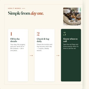 May include: An infographic titled Simple from day one featuring a German Shepherd dog resting on a bed. It outlines a three-step process: 1. Fill in the details, 2. Check & log daily, and 3. Know when to call, with instructions for tracking post-surgery recovery.
