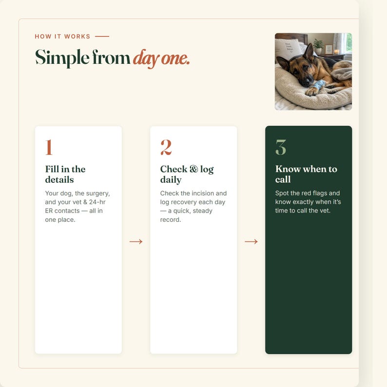 May include: An infographic titled Simple from day one featuring a German Shepherd dog resting on a bed. It outlines a three-step process: 1. Fill in the details, 2. Check & log daily, and 3. Know when to call, with instructions for tracking post-surgery recovery.