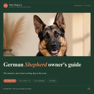 Pode incluir: Um guia digital para propriet&aacute;rios de Pastor Alem&atilde;o com uma fotografia do c&atilde;o. O texto inclui New Dog Co, German Shepherd owner's guide, The smartest, most loyal working dog in the room, Printable, Fillable, US Letter + A4, Vet-Sourced, 28 Pages.