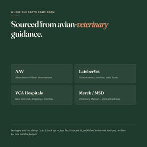 May include: A dark green informational graphic titled Where the facts come from, Sourced from avian-veterinary guidance. It lists four sources: AAV, LafeberVet, VCA Hospitals, and Merck/MSD, with brief descriptions for each, and a concluding statement.
