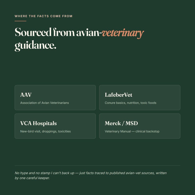 May include: A dark green informational graphic titled Where the facts come from, Sourced from avian-veterinary guidance. It lists four sources: AAV, LafeberVet, VCA Hospitals, and Merck/MSD, with brief descriptions for each, and a concluding statement.