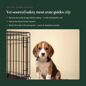 May include: A black wire dog crate sits next to a beagle puppy with brown, black, and white fur. The text reads: THE PART OTHERS LEAVE OUT, Vet-sourced safety most crate guides skip, Remove the collar & tags, Heat & flat-faced-breed cautions.