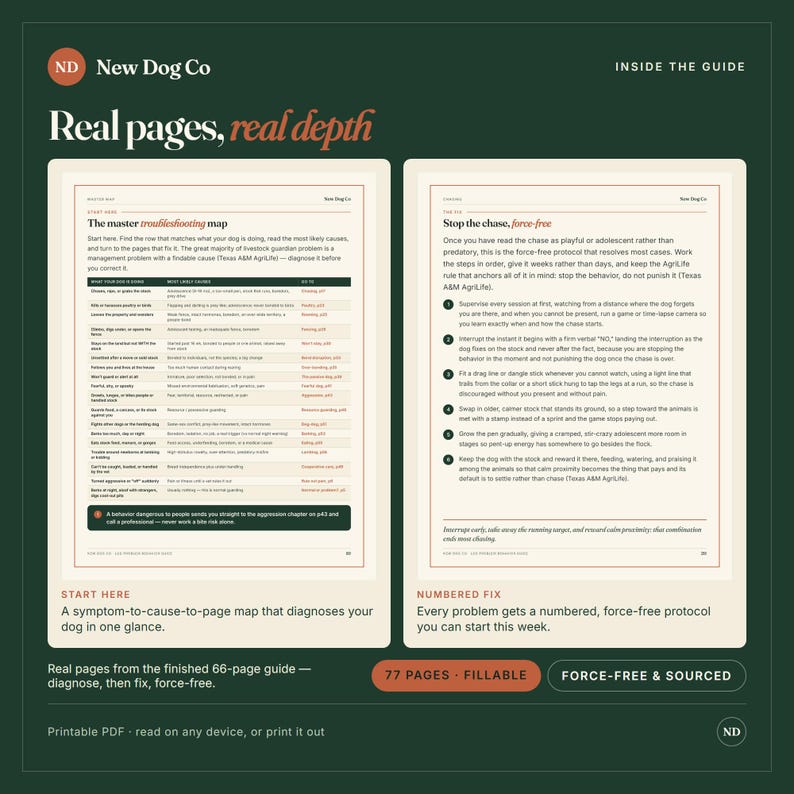 K&ouml;nnte beinhalten: Eine digitale Vorschau eines 66-seitigen Leitfadens mit dem Titel New Dog Co, der zwei offene Seiten mit Text zeigt. Die linke Seite zeigt eine Fehlersuchtabelle und die rechte Seite listet ein nummeriertes Protokoll auf. Der Hintergrund ist dunkelgr&uuml;n.