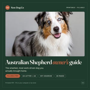 May include: A digital Australian Shepherd owner's guide featuring a blue merle dog with blue eyes. The dark green document includes the text 'New Dog Co', 'Printable', 'Fillable', 'Australian Shepherd owner's guide', 'Fillable PDF', 'US Letter + A4', 'Vet-Sourced', and '28 Pages'.