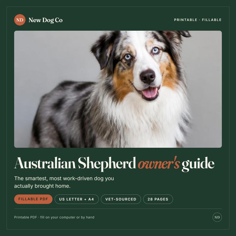 May include: A digital Australian Shepherd owner's guide featuring a blue merle dog with blue eyes. The dark green document includes the text 'New Dog Co', 'Printable', 'Fillable', 'Australian Shepherd owner's guide', 'Fillable PDF', 'US Letter + A4', 'Vet-Sourced', and '28 Pages'.