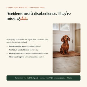 Op de afbeelding: Een educatieve infographic over zindelijkheidstraining voor puppy's met een bruine teckel op een mat. De tekst bevat: A chart alone won't potty-train your puppy. Accidents aren't disobedience. They're missing data. Inclusief een 6-stappen protocol.