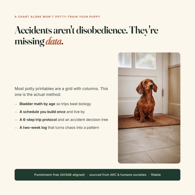 Op de afbeelding: Een educatieve infographic over zindelijkheidstraining voor puppy's met een bruine teckel op een mat. De tekst bevat: A chart alone won't potty-train your puppy. Accidents aren't disobedience. They're missing data. Inclusief een 6-stappen protocol.