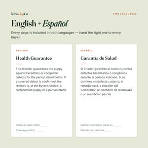 May include: A bilingual document template titled NewDogCo English + Espa&ntilde;ol featuring a health guarantee for puppies. The text is presented in two columns, with English on the left and Spanish on the right, including blank lines for vet exam and coverage period details.