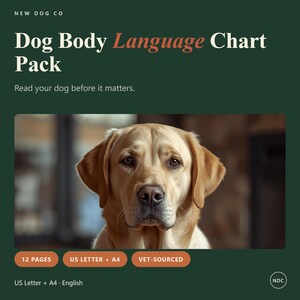 Op de afbeelding: Een digitaal Dog Body Language Chart Pack met 12 pagina's in US Letter en A4-formaat. De donkergroene afbeelding toont een gouden Labrador retriever en de tekst: New Dog Co, Dog Body Language Chart Pack, Read your dog before it matters.