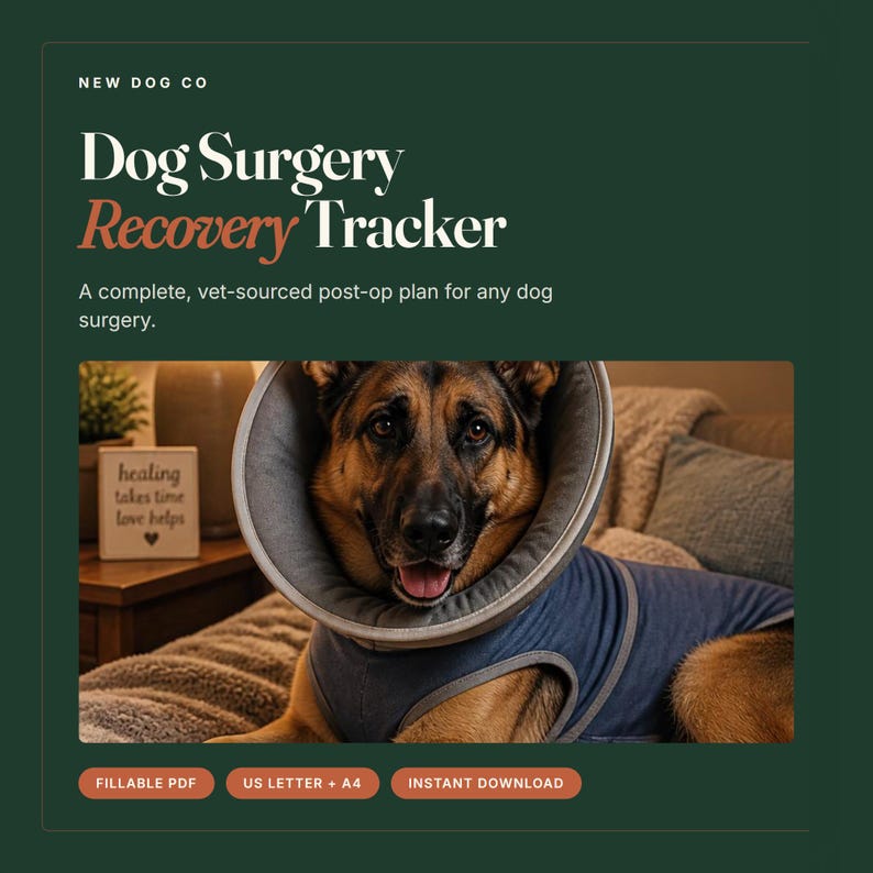 Dog Surgery Recovery Tracker | Vet-Sourced Post-Op Care Log (Fillable PDF) image 1