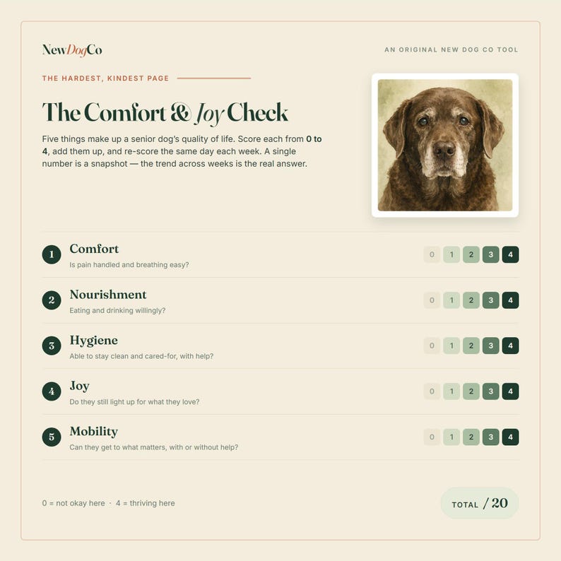 May include: A beige document titled The Comfort & Joy Check by NewDogCo featuring a portrait of a brown senior dog. The page includes five scoring categories: Comfort, Nourishment, Hygiene, Joy, and Mobility, each with a scale from 0 to 4.