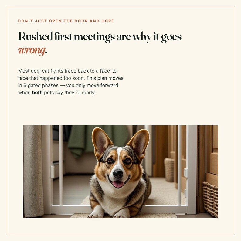 May include: A white pet gate stands in a doorway with a tricolour Corgi lying in front of it. The text reads: DON'T JUST OPEN THE DOOR AND HOPE. Rushed first meetings are why it goes wrong. Most dog-cat fights trace back to a face-to-face.