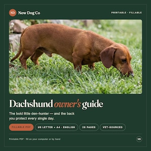 May include: A digital Dachshund owner's guide featuring a brown dog in grass. Text includes New Dog Co, Printable, Fillable, Dachshund owner's guide, The bold little den-hunter, US Letter + A4, English, 28 pages, Vet-sourced, and Printable PDF.