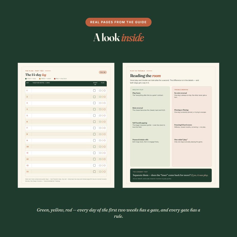 May include: Two pages from a dog training guide. The left page is a 14-day log with rows for daily notes and checkboxes. The right page is titled Reading the room and features a comparison table between healthy play and trouble brewing in green and pink.