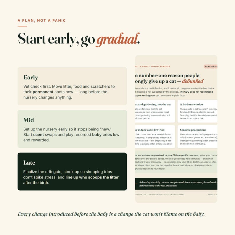 May include: An infographic titled A Plan, Not a Panic with the heading Start early, go gradual. It features three sections labeled Early, Mid, and Late with advice on preparing a cat for a new baby, alongside a column detailing toxoplasmosis facts.