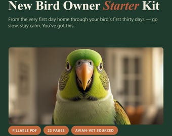New Bird Owner Starter Kit | Bird Care Guide, Safety Checklist (Digital Download)