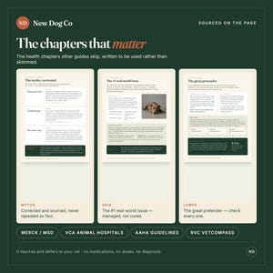 May include: A dark green informational graphic titled The chapters that matter, featuring three white pages with text and a photo of a dog. The pages are labelled The myths, corrected, The #1 real-world issue, and The great pretender, with bottom text.