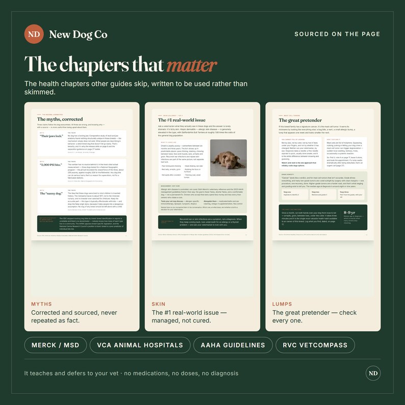 May include: A dark green informational graphic titled The chapters that matter, featuring three white pages with text and a photo of a dog. The pages are labelled The myths, corrected, The #1 real-world issue, and The great pretender, with bottom text.