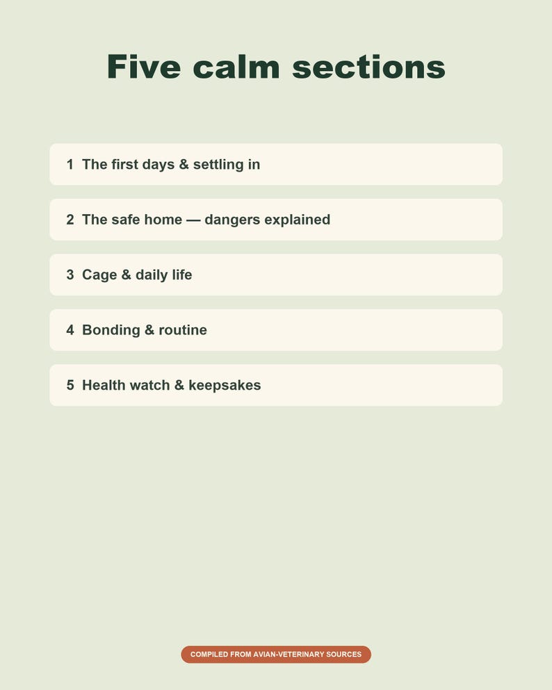 May include: A light green informational graphic titled Five calm sections with five numbered rows: 1 The first days & settling in, 2 The safe home &mdash; dangers explained, 3 Cage & daily life, 4 Bonding & routine, 5 Health watch & keepsakes.