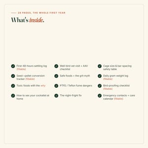 Cockatiel Care Guide | New Owner Setup, Diet, Health (Fillable PDF) image 4