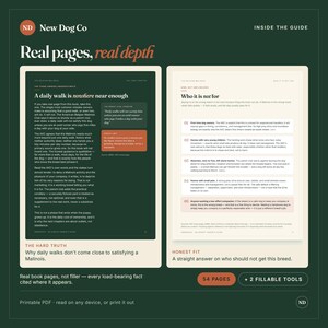 Op de afbeelding: Een digitale preview van een hondenrasgids getiteld New Dog Co: Real pages, real depth. De afbeelding toont twee boekpagina's met donkergroene en cr&egrave;mekleurige achtergronden, met tekst over de verzorging, het bezit en de geschiktheid van de Mechelse herder.