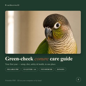 Guía de cuidados para la cotorra de mejillas verdes / Información para nuevos propietarios, dieta y salud (PDF rellenable)