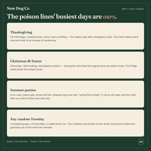 May include: A dark green informational chart titled New Dog Co The poison lines' busiest days are ours. It lists four sections: Thanksgiving, Christmas & Easter, Summer parties, and Any random Tuesday, each detailing common household pet hazards.