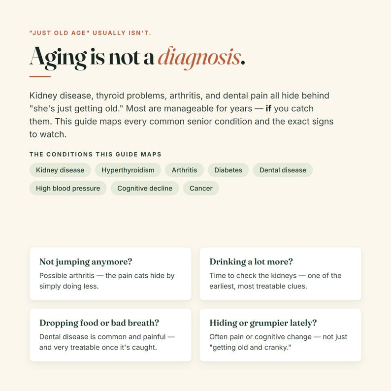 Puede incluir: Una gu&iacute;a informativa titulada Aging is not a diagnosis. El texto explica que afecciones como enfermedades renales, problemas de tiroides, artritis y dolor dental son manejables. Enumera condiciones y signos a observar en los gatos.