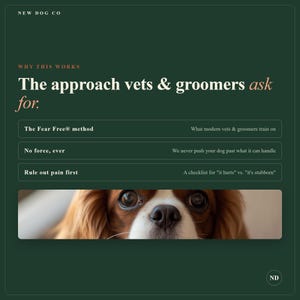 May include: A dark green informational graphic titled NEW DOG CO. The text reads: The approach vets & groomers ask for. It lists three methods: The Fear Free method, No force, ever, and Rule out pain first. A photo of a brown and white dog is below.