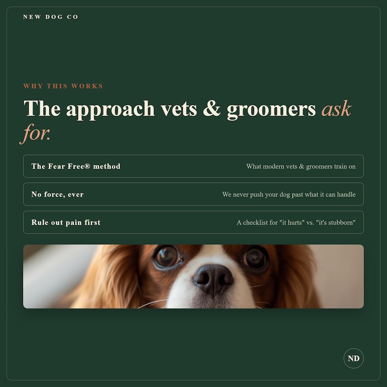 May include: A dark green informational graphic titled NEW DOG CO. The text reads: The approach vets & groomers ask for. It lists three methods: The Fear Free method, No force, ever, and Rule out pain first. A photo of a brown and white dog is below.