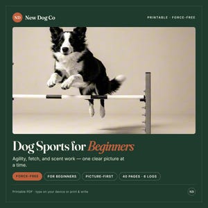 May include: A digital document titled Dog Sports for Beginners by New Dog Co. The cover features a black and white dog jumping over an agility hurdle. Text includes Agility, fetch, and scent work, 40 pages, 6 logs, and printable PDF options.