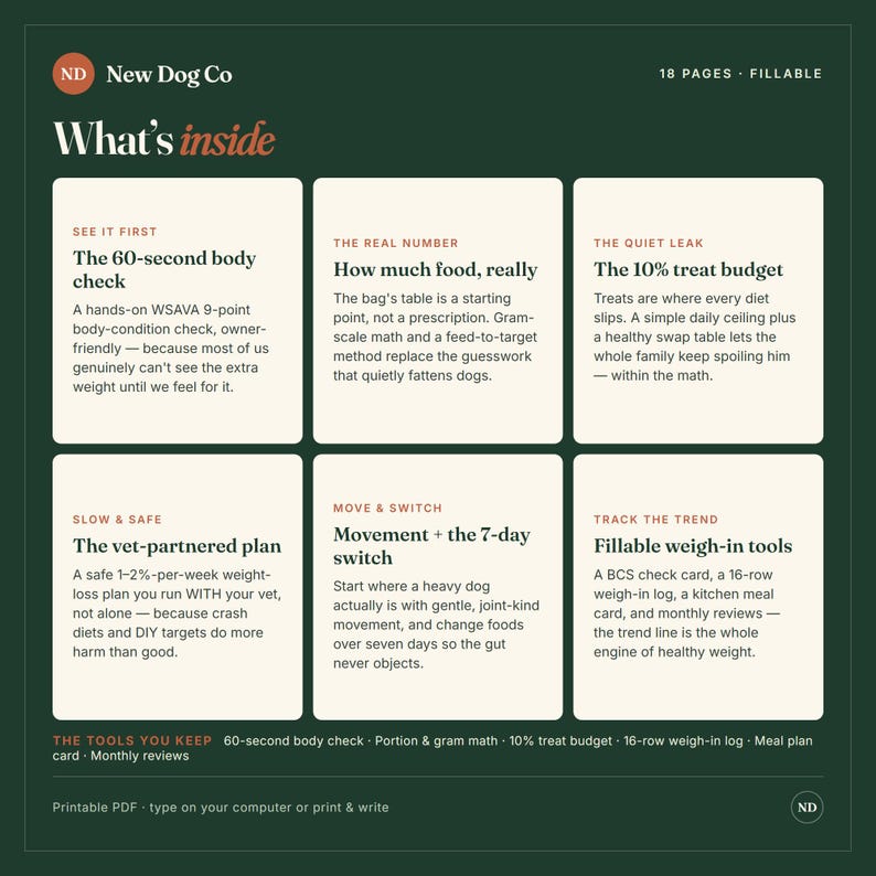 K&ouml;nnte beinhalten: Ein dunkelgr&uuml;nes, 18-seitiges ausf&uuml;llbares PDF-Dokument mit dem Titel New Dog Co What's inside. Es enth&auml;lt sechs wei&szlig;e rechteckige Abschnitte mit Anleitungen zur Tiergesundheit, darunter einen 60-Sekunden-K&ouml;rpercheck, Futterportionierung, Leckerlibudgets und Wiegeprotokolle.