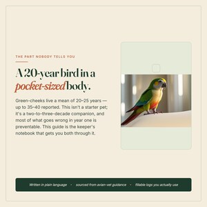 May include: A rectangular informational guide featuring a green parrot on the right side. The text reads: THE PART NOBODY TELLS YOU, A 20-year bird in a pocket-sized body, Green-cheeks live a mean of 20-25 years, and Written in plain language.