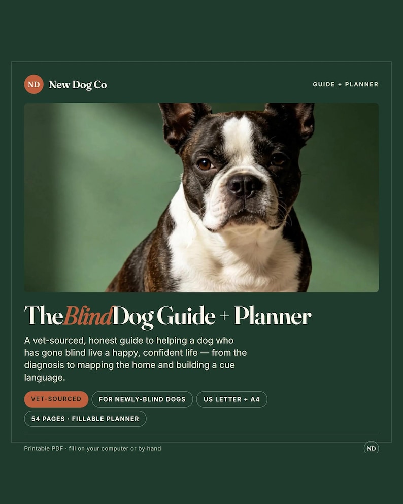 May include: A digital guide and planner titled The Blind Dog Guide + Planner by New Dog Co. The cover features a black and white Boston Terrier dog. Text includes: A vet-sourced, honest guide to helping a dog who has gone blind live a happy, confident life. Includes 54 pages, fillable planner, US Letter + A4, and printable PDF.