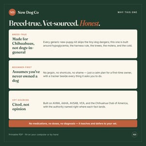 K&ouml;nnte beinhalten: Eine dunkelgr&uuml;ne Infografik mit dem Titel New Dog Co und der &Uuml;berschrift Breed-true. Vet-sourced. Honest. Sie enth&auml;lt drei Abschnitte zur Chihuahua-Pflege, Anleitungen f&uuml;r Anf&auml;nger und tier&auml;rztliche Fakten sowie einen Hinweis zu druckbaren PDFs.