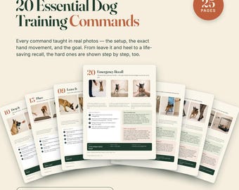 Guide des 20 ordres essentiels pour le dressage canin, photos étape par étape (téléchargement PDF)