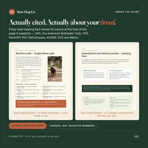 Rottweiler Ägarguide | Veterinärens vårdhandbok (ifyllbar PDF) bild 3