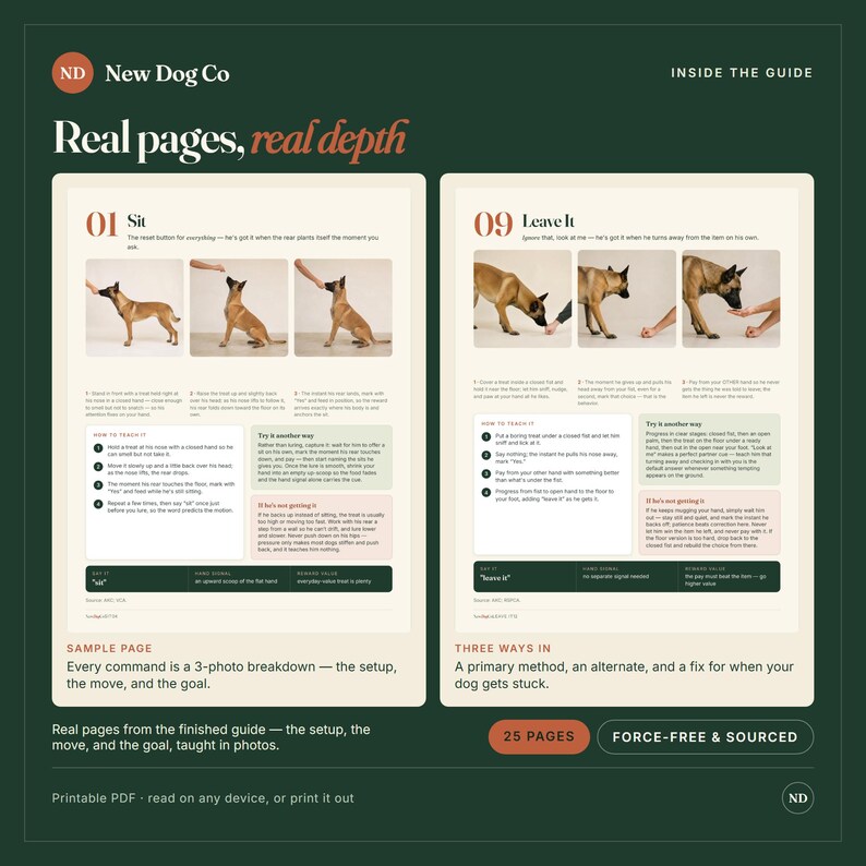 Op de afbeelding: Een digitale gids getiteld New Dog Co Real pages, real depth met instructieve hondentraining. De lay-out toont twee pagina's met fotografische reeksen voor de commando's Zit en Laat het, inclusief tekstuele stappen en tips.