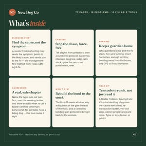 K&ouml;nnte beinhalten: Eine dunkelgr&uuml;ne Infografik mit dem Titel What's inside von New Dog Co. Sie listet 77 Seiten, 18 Probleme und 10 ausf&uuml;llbare Werkzeuge auf. Sechs wei&szlig;e rechteckige K&auml;sten enthalten Text &uuml;ber Protokolle f&uuml;r Hunde, darunter Diagnose, Jagdverhalten, Streunen, Aggression und Feld-Kits.