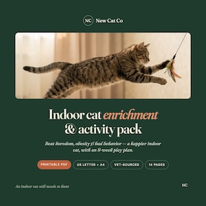 Indoor Cat Enrichment Pack | 8-Week Play Plan, Boredom Buster (Printable PDF)