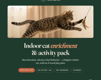 室内飼い猫のためのエンリッチメントパック｜8週間の遊びプラン、退屈解消グッズ（印刷可能なPDF）