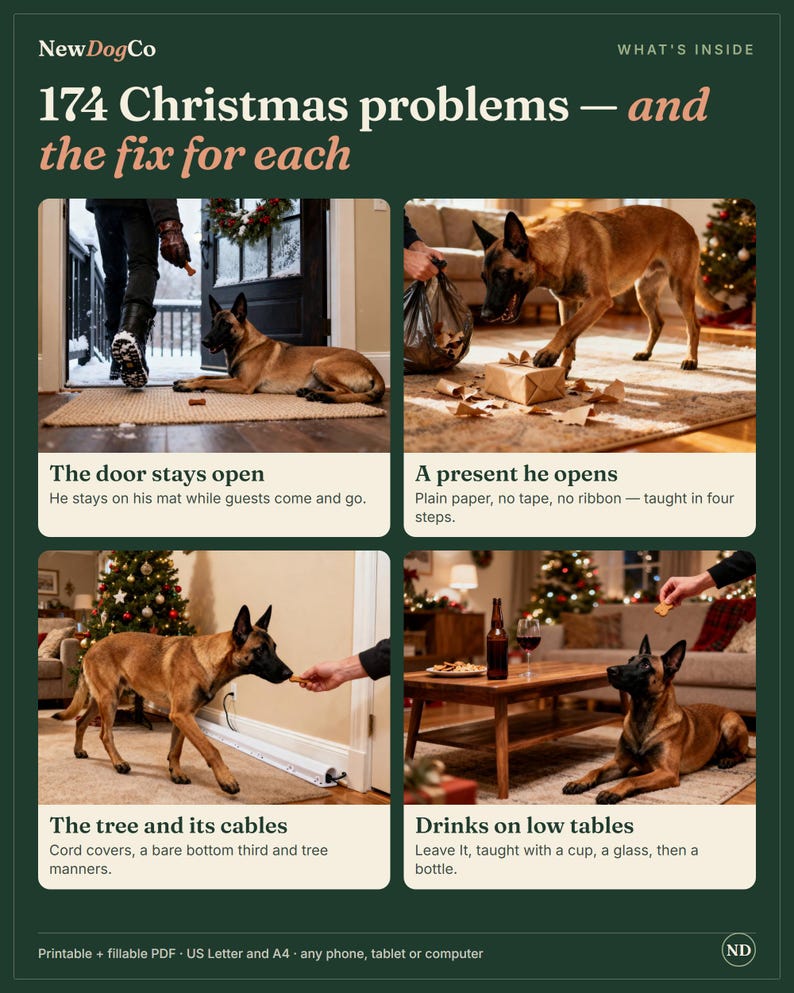May include: A dark green informational poster titled 174 Christmas problems &mdash; and the fix for each. It features four panels showing a Belgian Malinois dog in various holiday scenarios with text descriptions for training solutions.