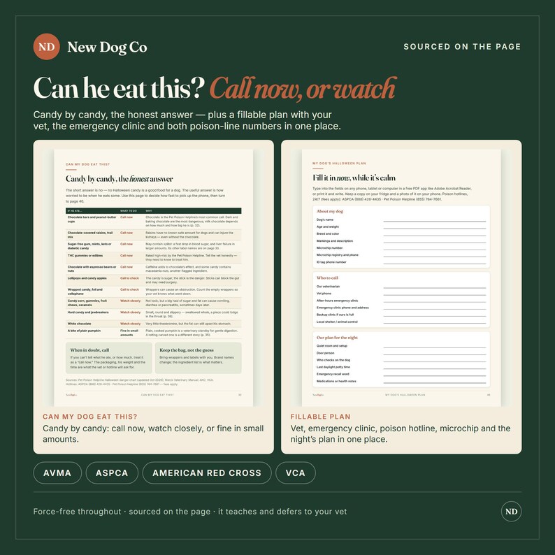 May include: A digital guide titled New Dog Co Can he eat this? featuring two pages. The left page lists candy types and safety advice. The right page is a fillable form for dog information, vet contacts, and emergency plans. The background is dark green.