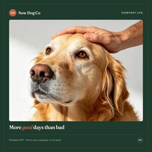 Pu&ograve; includere: Un golden retriever con pelo marrone chiaro e occhi scuri. Il testo in alto recita New Dog Co ed EVERYDAY LIFE. Il testo in basso recita More good days than bad, seguito da Printable PDF - fill on your computer or by hand.