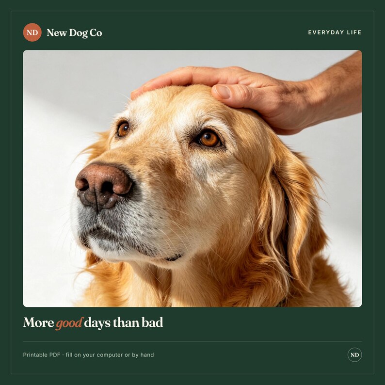 Pu&ograve; includere: Un golden retriever con pelo marrone chiaro e occhi scuri. Il testo in alto recita New Dog Co ed EVERYDAY LIFE. Il testo in basso recita More good days than bad, seguito da Printable PDF - fill on your computer or by hand.