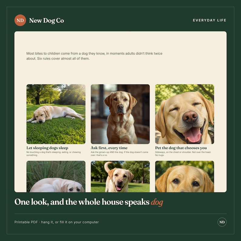May include: A printable educational poster titled New Dog Co Everyday Life featuring six photographs of a yellow Labrador retriever. The text provides safety rules for children interacting with dogs, including Let sleeping dogs sleep, Ask first, every time, and Pet the dog that chooses you. The bottom text reads One look, and the whole house speaks dog.