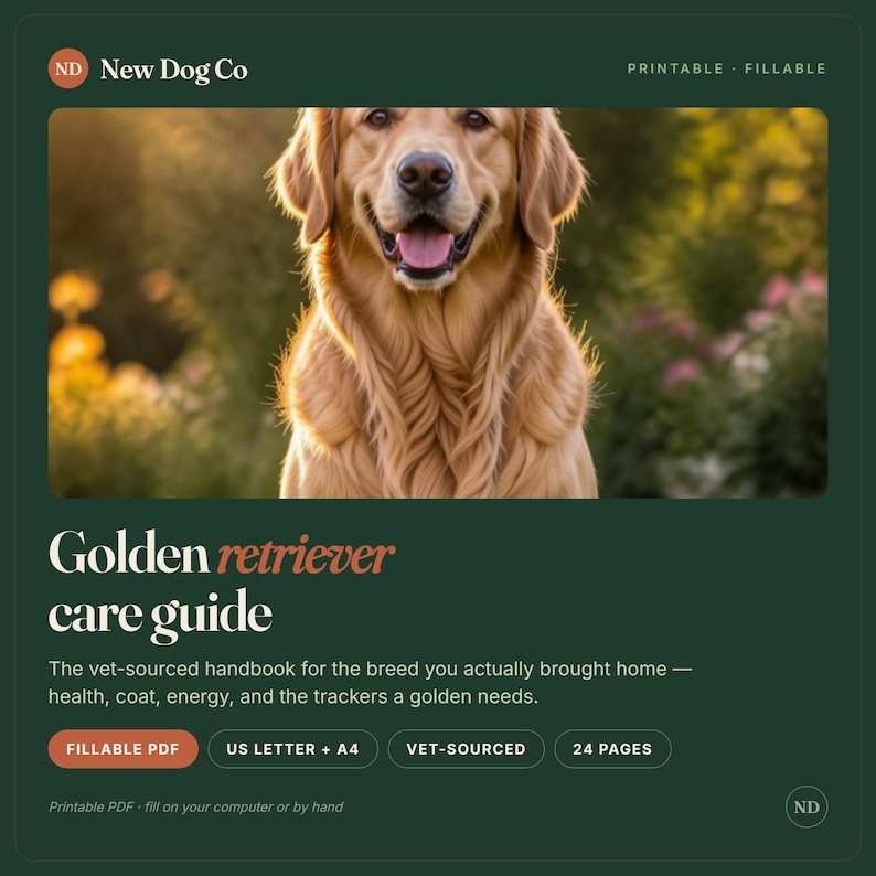 Puede incluir: Una gu&iacute;a de cuidados para Golden Retriever de New Dog Co. La portada muestra un perro dorado, el texto 'Golden retriever care guide' y detalles que incluyen 'Printable', 'Fillable', 'US Letter + A4', 'Vet-sourced' y '24 pages'.